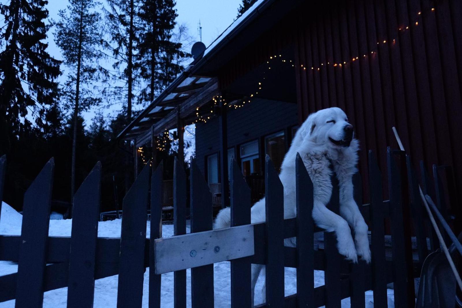 Laplandbike Apartment Arctic Circle ロヴァニエミ エクステリア 写真